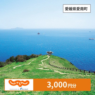【じゃらんふるさと納税クーポン】 愛媛県愛南町でつかえる3,000円 クーポン