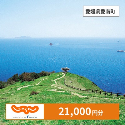 【じゃらんふるさと納税クーポン】 愛媛県愛南町でつかえる21,000円 クーポン