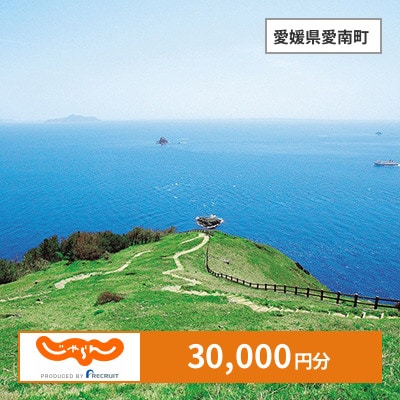 【じゃらんふるさと納税クーポン】 愛媛県愛南町でつかえる30,000円 クーポン