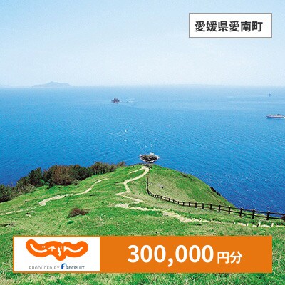 【じゃらんふるさと納税クーポン】 愛媛県愛南町でつかえる300,000円 クーポン