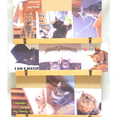 高槻ねこの会謹製【保護猫応援!】グッズセット(ポーチMLタイプ)