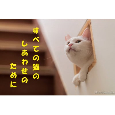 高槻ねこの会謹製【保護猫応援!】グッズ(はんこTシャツSサイズ)*ポストカード1枚付