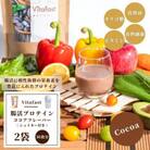Vitafast 腸活プロテイン ココア味 2袋 シェイカー1個付き