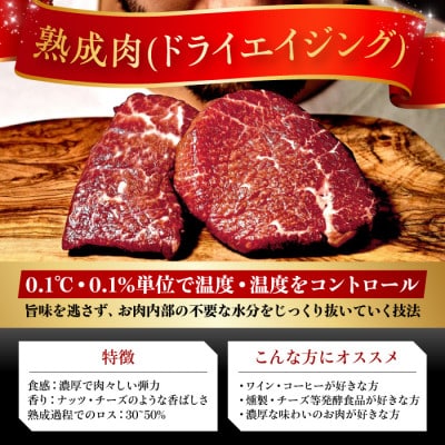 【ふるさと納税限定】あなただけのドライエイジング熟成黒毛和牛ブロック(極上赤身)500g