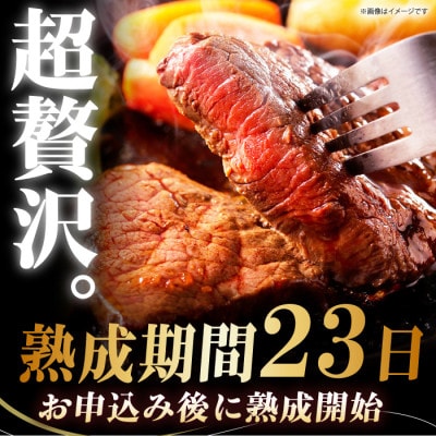 【ふるさと納税限定】あなただけのドライエイジング熟成黒毛和牛ブロック(極上赤身)500g