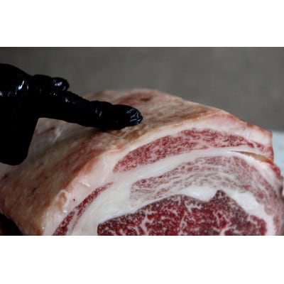 あなただけのドライエイジング熟成黒毛和牛ブロック(極上赤身&サーロイン) 1kg