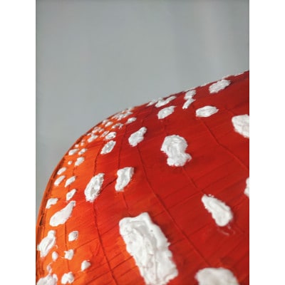 蓄光BENITENGASA premium / large size(ベニテン笠・プレミアム・大)