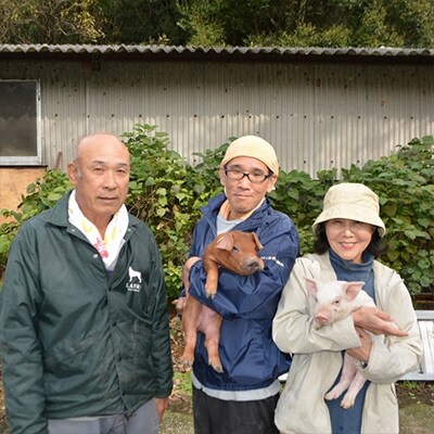 大月町産ブランド豚!力豚バラ スライス4.8kg