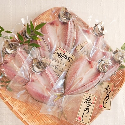 土佐大月海産 高級アジの干物 恋あじ 600g お礼品詳細 ふるさと納税なら さとふる