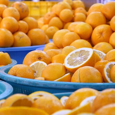 贈答用 柑橘「河内ばんかん」ジュース1本