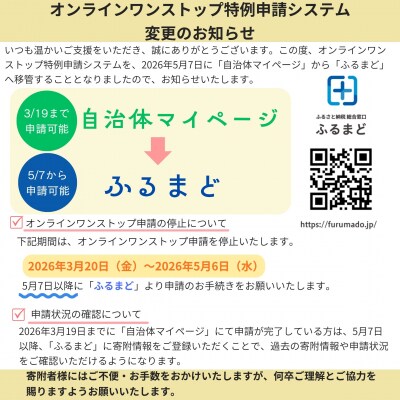 【2個セット】濃厚ガトーショコラ