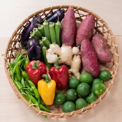 【計4回】大月町産とれたてお野菜定期便(小)