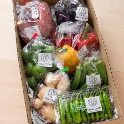 【計4回】大月町産とれたてお野菜定期便(小)