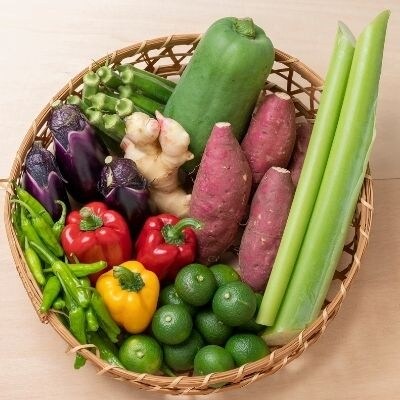 とれたて産直!大月町季節のお野菜セット(大)