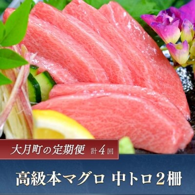 定期便 高級本マグロ中トロたっぷり2柵 計4回お届け お礼品詳細 ふるさと納税なら さとふる