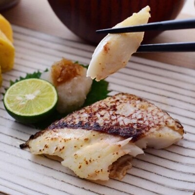 定期便 塩麹に漬け込んだお魚 計4回お届け お礼品詳細 ふるさと納税なら さとふる