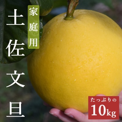 【家庭用大満足の10kg!】温暖な気候が育んだ土佐文旦