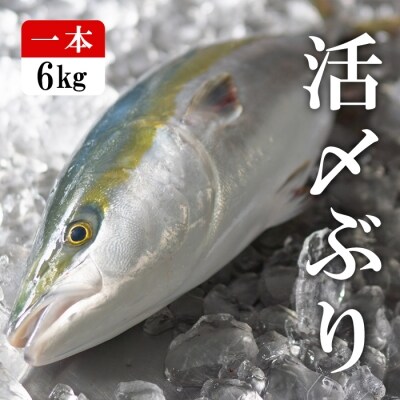 魚 ブリ 養殖の人気商品 通販 価格比較 価格 Com
