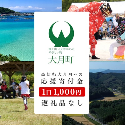 高知県大月町への応援寄附金【返礼品なし】