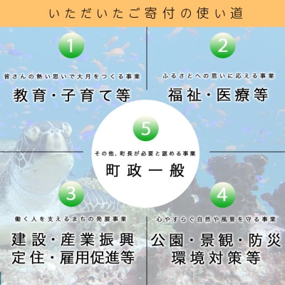 高知県大月町への応援寄附金【返礼品なし】
