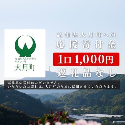 高知県大月町への応援寄附金【返礼品なし】