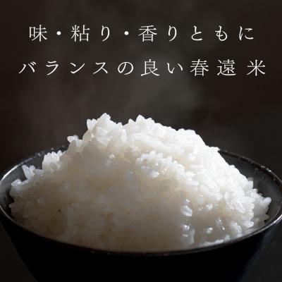 【高知県 大月町産 ブランド米】春遠米(ヒノヒカリ)　5kg