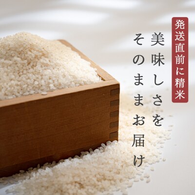 【高知県 大月町産 ブランド米】春遠米(ヒノヒカリ)　5kg