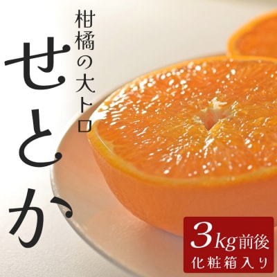 せとか 約3kg 贈答用 高知県産 ハウス栽培