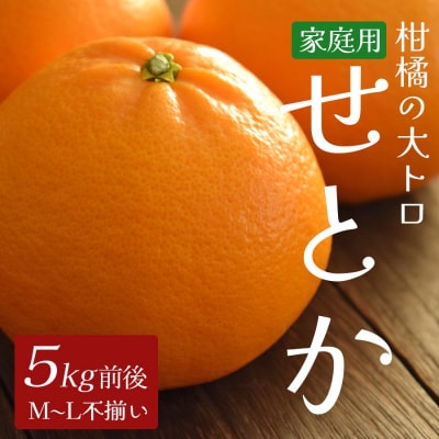 せとか 約5kg 家庭用 高知県産 ハウス栽培