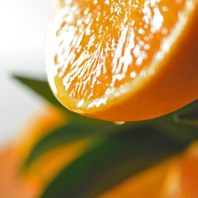 せとか 約5kg 家庭用 高知県産 ハウス栽培