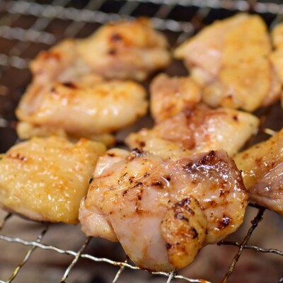 塩麹につけたよさこい尾鶏と力豚のセット　22パック