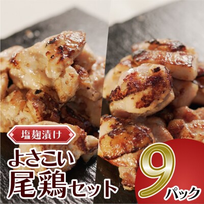 塩麹につけたよさこい尾鶏のセット　9パック