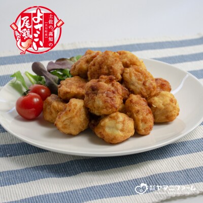 国産 よさこい尾鶏 鶏肉 チキンスペアリブ 400g & 和風しょう油唐揚げ 500g 