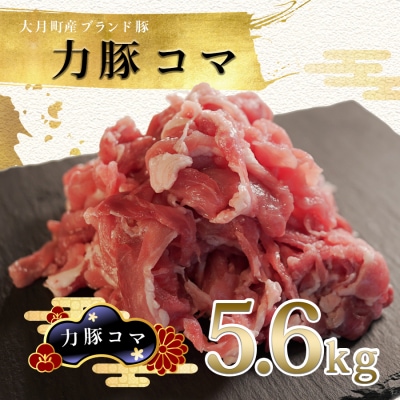 【国産】力豚 豚肉 豚コマ5.6kg 小分け ブランド豚 炒め物 こま切れ 切り落とし 大容量