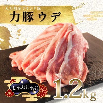 【国産】力豚 豚肉 ウデ肉1.2kg 小分け ブランド豚  炒め物 生姜焼き 豚汁 ポーク 冷凍