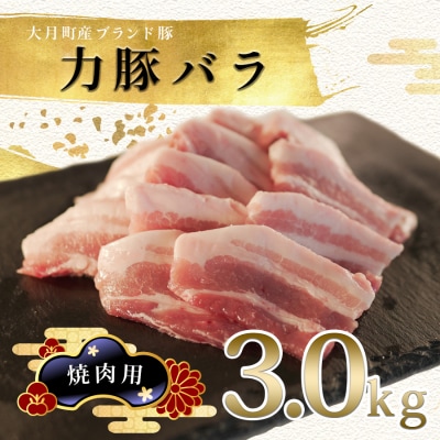 【国産】力豚 豚肉 バラ 焼肉用3kg 豚バラ 小分け 焼き肉 BBQ ブランド豚 ポーク 冷凍