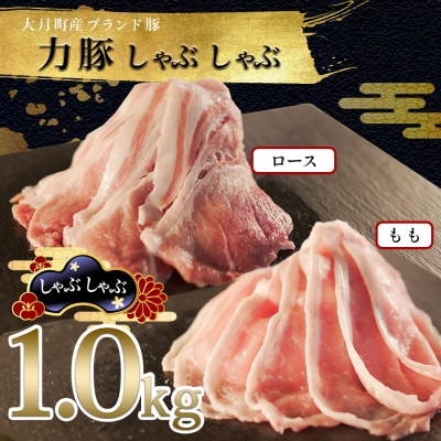 【国産】力豚 豚肉 もも ロース しゃぶしゃぶ 2種 1kgセット 小分け ブランド豚 豚しゃぶ 鍋
