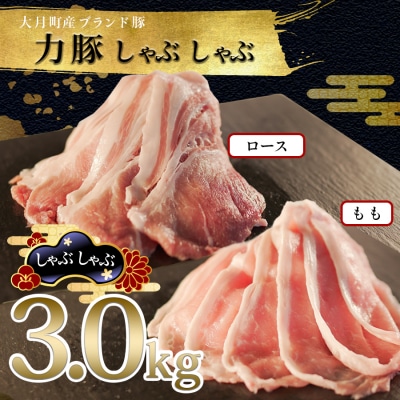 【国産】力豚 豚肉 もも ロース しゃぶしゃぶ 2種 3kgセット 小分け ブランド豚 豚しゃぶ 鍋