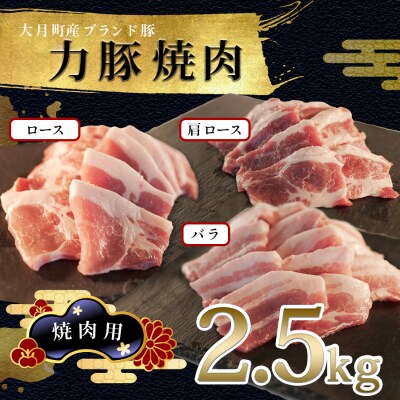 【国産】力豚 豚肉 焼肉3種盛 2.5kg (バラ900g 肩ロース600g ロース1kg) 焼き肉