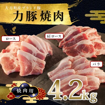 【国産】力豚 豚肉 焼肉3種盛 4.2kg (バラ1.2kg 肩ロース1.2kg ロース1.8kg)