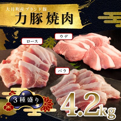 【国産】力豚 豚肉 焼肉3種盛 4.2kg (バラ1.2kg ウデ1.2kg ロース1.8kg) 焼