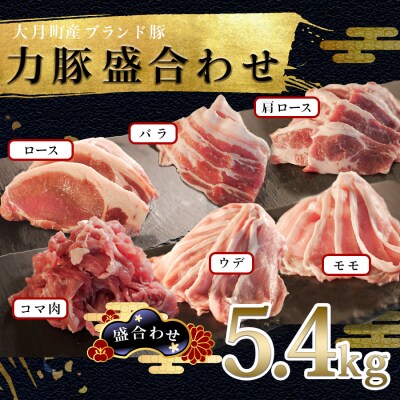 【国産】力豚 豚肉 6種盛5.4kg(バラ 肩ロース ウデ こま モモ ロース)小分け おすすめ