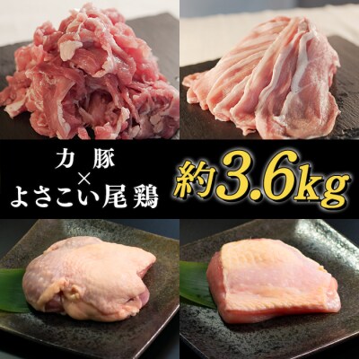 【国産】鶏肉×豚肉 約3.6kgセット 鶏もも 鶏むね 豚細切れ ウデ肉 小分け ブランド銘柄 焼肉