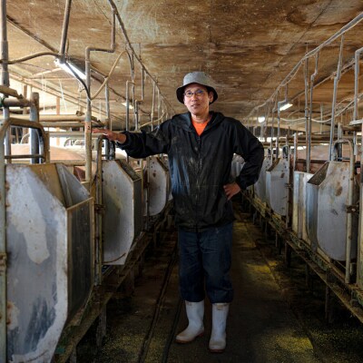 【国産】鶏肉×豚肉 約3.6kgセット 鶏もも 鶏むね 豚細切れ ウデ肉 小分け ブランド銘柄 焼肉