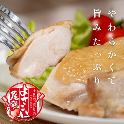 国産 鶏もも切り身 2kg (200g×10P) 小分け 冷凍 骨なし よさこい尾鶏 高知県大月町