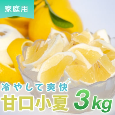 甘口 小夏 3kg 家庭用 日向夏 ニューサマーオレンジ くだもの 果物 旬の果物 高知県 大月町