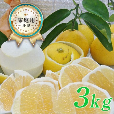 【高知県 大月町産】コーラルフルーツ農場の家庭用 小夏(3kg)