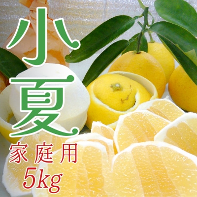 【高知県 大月町産】コーラルフルーツ農場の家庭用 小夏(5kg)