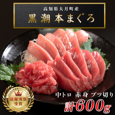 訳あり 不定貫 国産 まぐろ 本マグロ 刺身 赤身 中トロ ぶつ切り 3種 600g 養殖