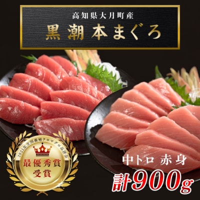 訳あり 不定貫 国産 まぐろ 本マグロ 刺身 赤身 中トロ 2種 900g 養殖
